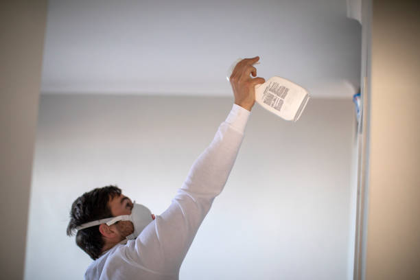 Home Mold Removal in South Yarmouth, MA