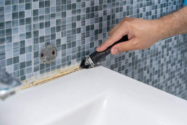 Professional Mold Removal in South Yarmouth, MA